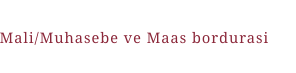 Mali/Muhasebe ve Maas bordurasi